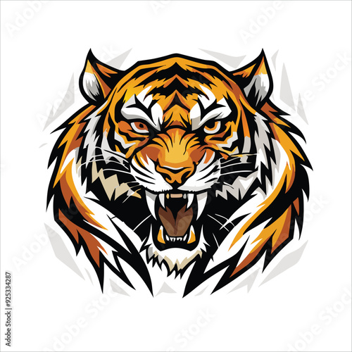 Tiger animal vector