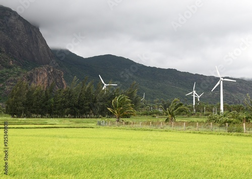 wind turbines in verdant green rice farms near Nagercoil, India photo