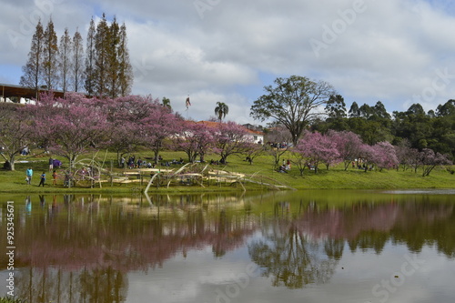 Parque das cerejeiras em São Roque photo