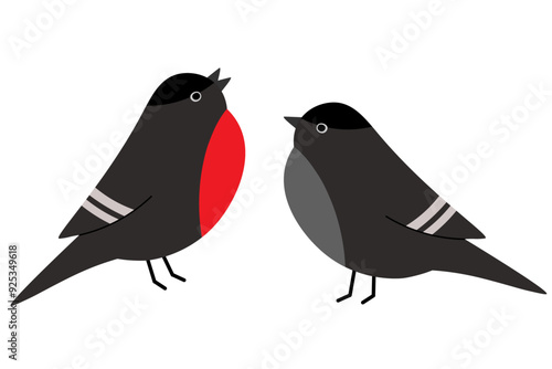 A pair of bullfinches on a white background. Red-breasted winter birds. Vector graphics.