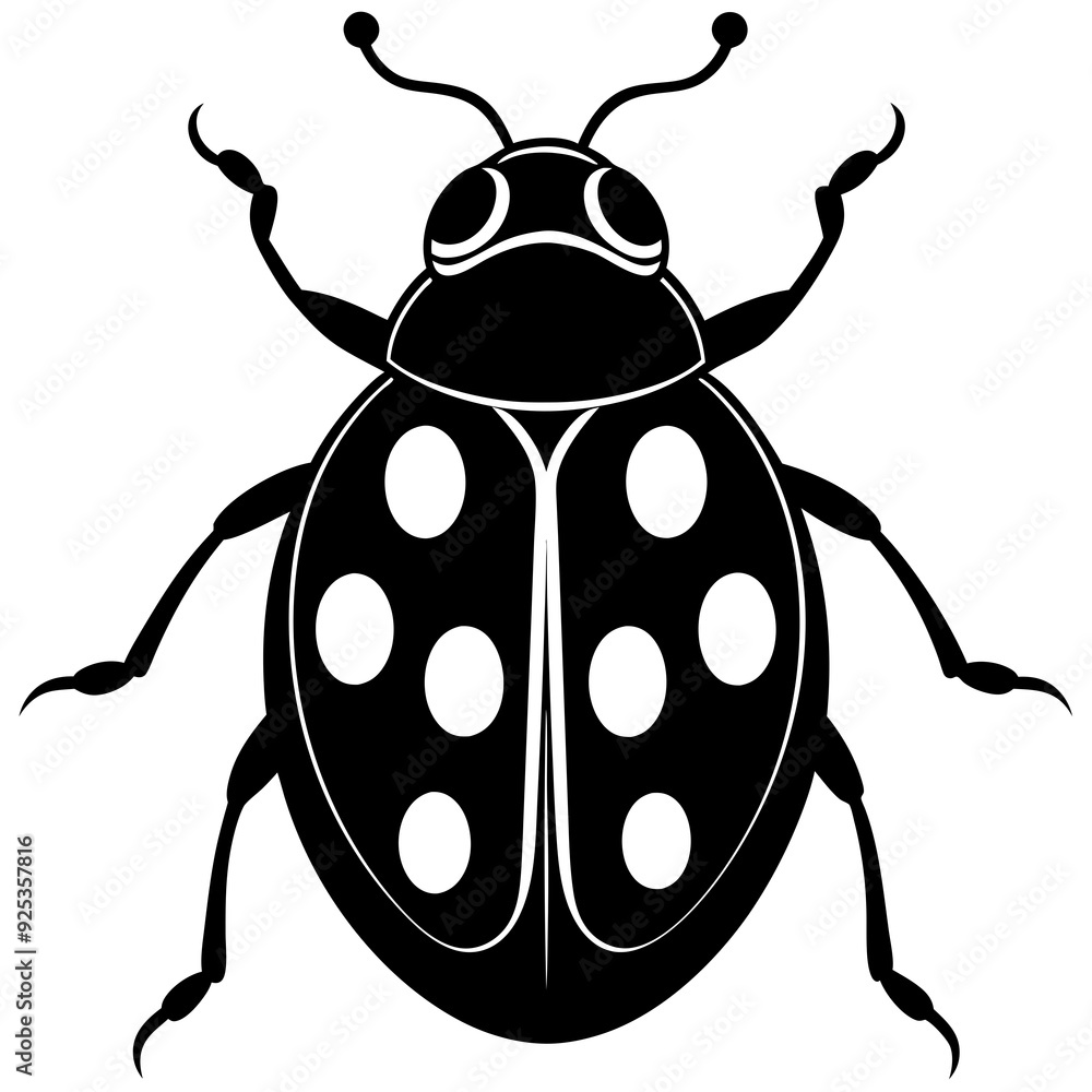 Ash grey lady beetle art vector illustrator