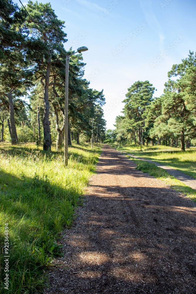 Fototapeta premium Jogging path in the forest.