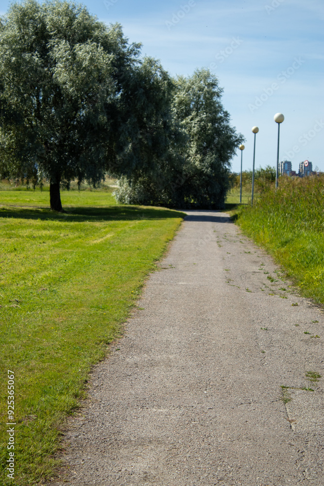 Obraz premium alley in the park