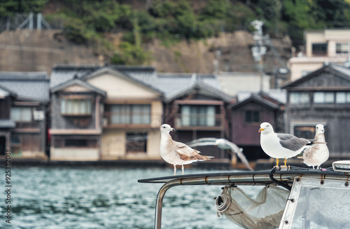 Beautiful scenic view with the wooden traditional waterfront boat houses called funaya around Ine Bay, in the village Ine, Japan. Seagulls on a fishing boat.