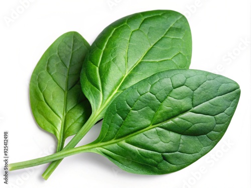 Pile of fresh green baby spinach leaves isolated on white background. Espinach Close up. Flat lay. Food concept.