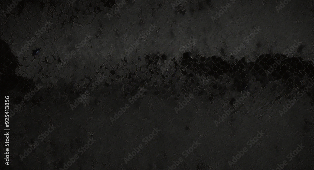 Stipple dots, gradient grain and noise texture vector illustration. Abstract black and white halftone background with grunge effect of grainy sand pattern, dust dotwork with random fade of points Stipple dots, gradient grain and noise texture vector illustration. Abstract black and white halftone background with grunge effect of grainy sand pattern, dust dotwork with random fade of points