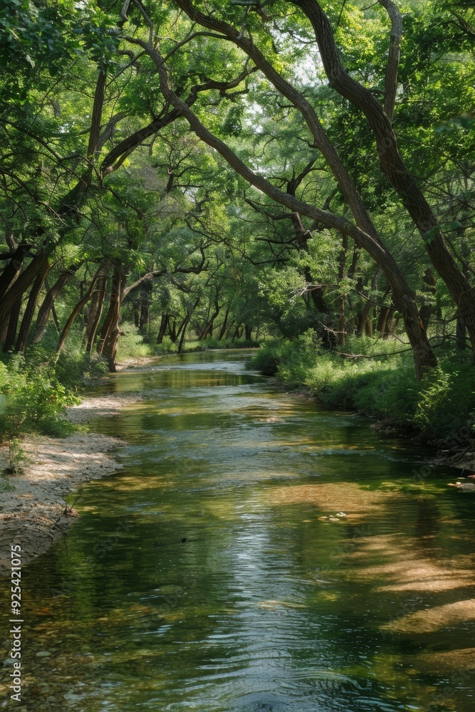 Tranquil River Flowing through a Lush Wildlife Sanctuary - Perfect for Nature Conservation Themes Tranquil River Flowing through a Lush Wildlife Sanctuary - Perfect for Nature Conservation Themes