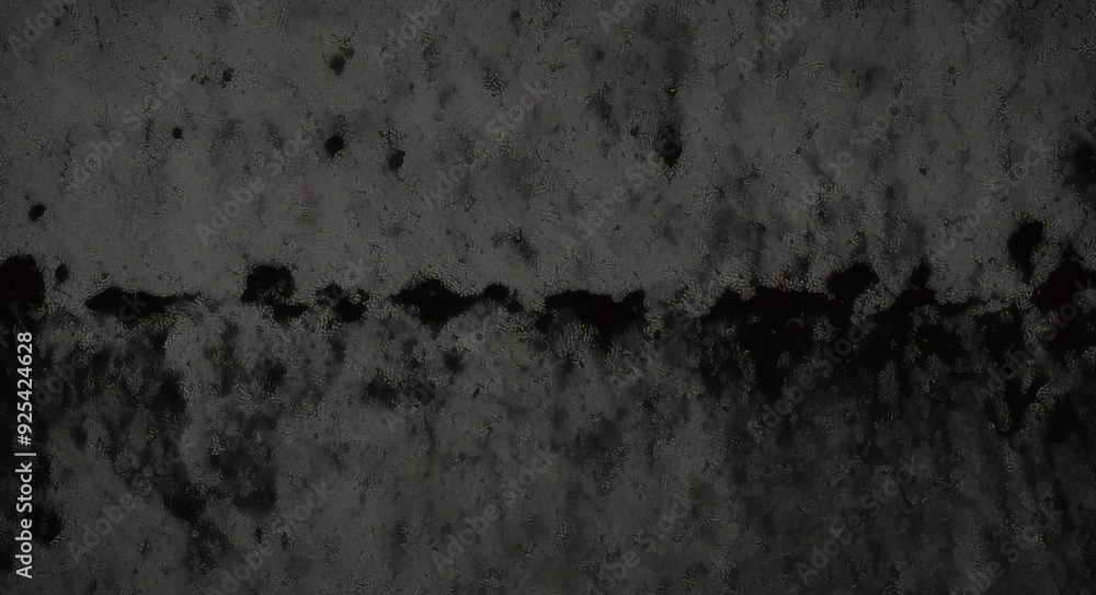 Stipple dots, gradient grain and noise texture vector illustration. Abstract black and white halftone background with grunge effect of grainy sand pattern, dust dotwork with random fade of points Stipple dots, gradient grain and noise texture vector illustration. Abstract black and white halftone background with grunge effect of grainy sand pattern, dust dotwork with random fade of points