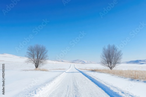 Wallpaper Mural Snow covered road stretching into the horizon with leafless trees on either side, under a clear blue sky. Torontodigital.ca