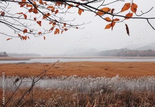 Autumn Landscape With Orange Leaves Near Calm Water and Rolling Hills