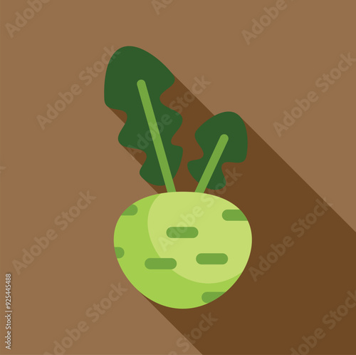 Green kohlrabi with leaves casting a long shadow on a brown background