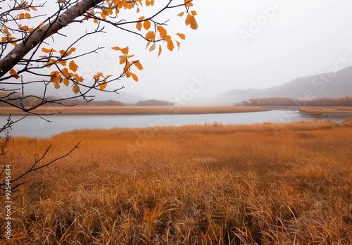 Autumn Landscape With Orange Leaves Near Calm Water and Rolling Hills