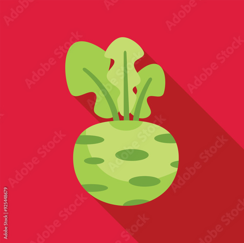 Green kohlrabi with large leaves is standing on a red background with a long shadow