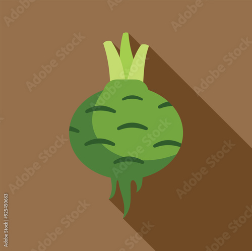 Green kohlrabi vegetable casting a long shadow on a brown background