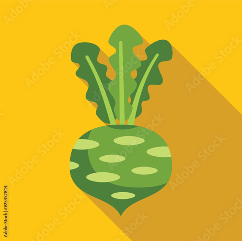 Green kohlrabi vegetable growing with leaves flat design icon