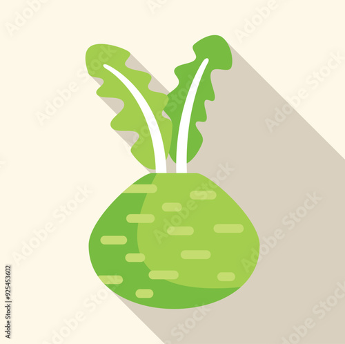 Green kohlrabi vegetable growing with long shadow flat design