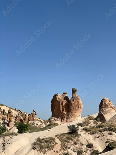 camel of rock