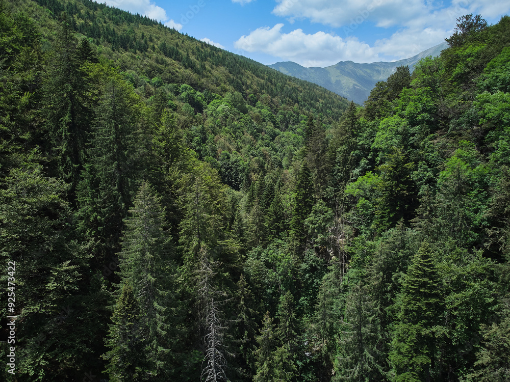 Flying with a drone in the mountains, taking pictures of fir trees, Maria (Mary) river and Marii waterfall in the Retezat Mountains in Uricani, Hunedoara Romania Flying with a drone in the mountains, taking pictures of fir trees, Maria (Mary) river and Marii waterfall in the Retezat Mountains in Uricani, Hunedoara Romania
