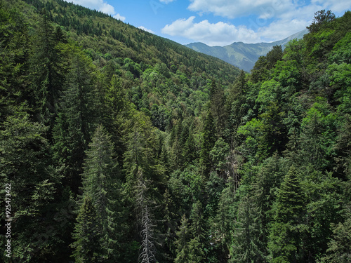 Flying with a drone in the mountains, taking pictures of fir trees, Maria (Mary) river and Marii waterfall in the Retezat Mountains in Uricani, Hunedoara Romania photo