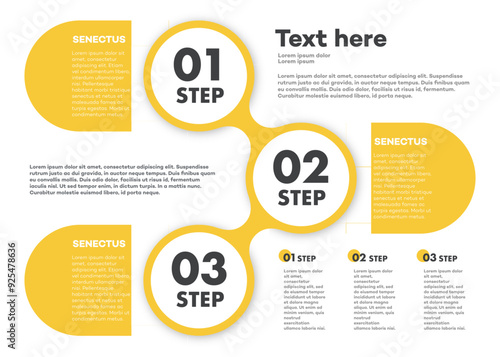 Infographic template timeline process 3 option