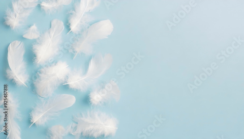 Top view photo of the many light white amazing fluffy feathers scattered on the left side of the pastel sky blue isolated background copyspace
 photo