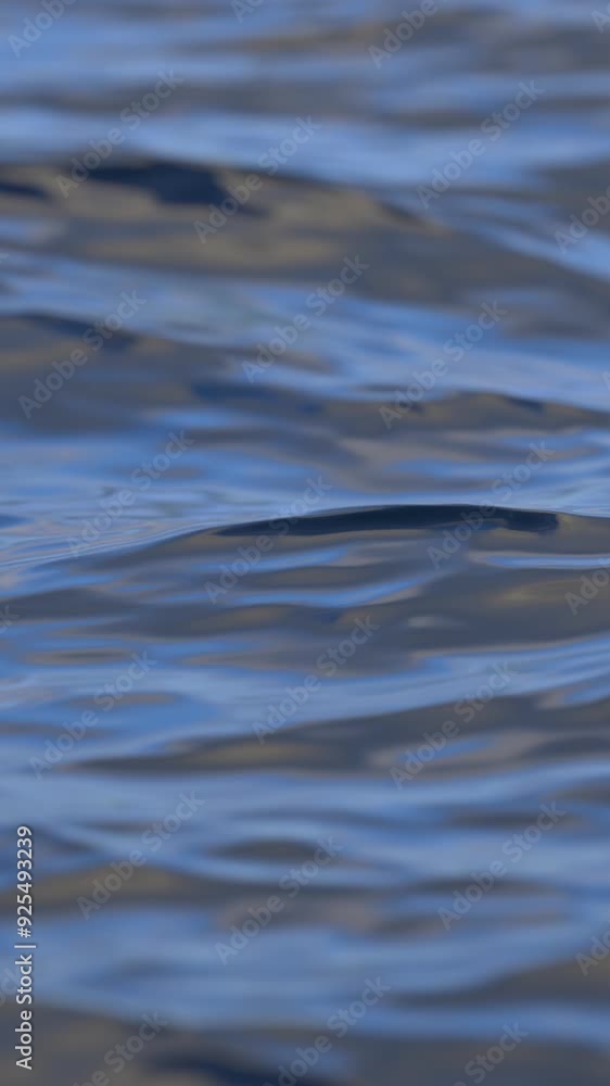 Looped calm water wavy surface. Animation of wave motion on sea surface. Vertical video Looped calm water wavy surface. Animation of wave motion on sea surface. Vertical video
