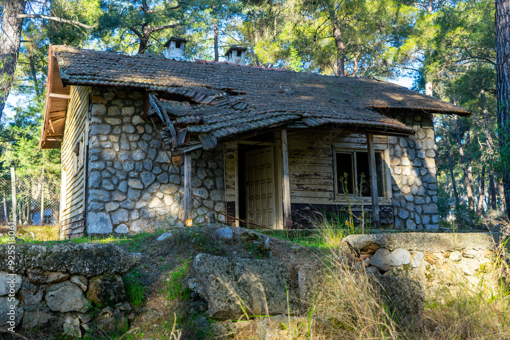 Old single-storey forest house with collapsed roof in the forest Old single-storey forest house with collapsed roof in the forest