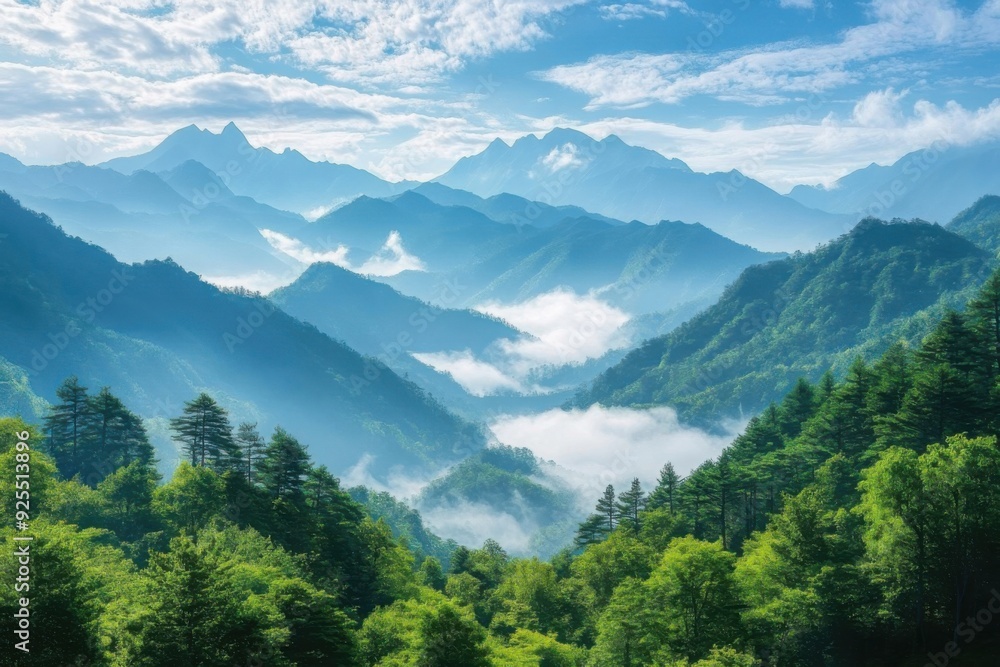 Fototapeta premium Misty Mountain Range