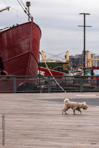 ship in the port