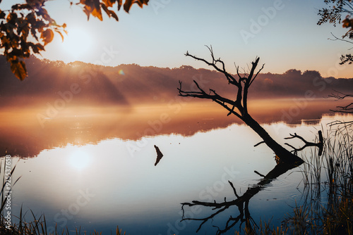 Rusałka Lake, Poznań, Poland