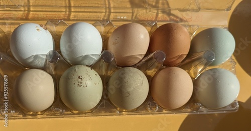 eggs in a carton