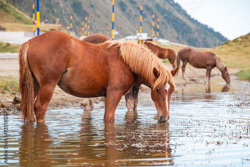 Un paisaje impresionante donde majestuosas montañas se alzan bajo un cielo azul, mientras caballos pastan libremente en los verdes prados, capturando la serenidad y la conexión entre la naturaleza y l
