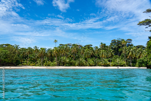 Tropical Beach Paradise with Palm Trees and Rocky Coastline in the caribbean Islands, Featuring Stunning Ocean Views, Sandy Shores, and Lush Island Landscapes, Perfect for Travel and Vacation Getaways photo