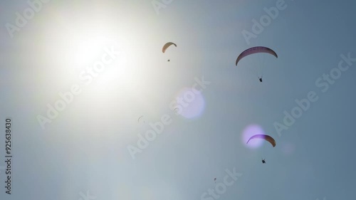 Several paragliders soar high in the sky under the bright sun, capturing a thrilling and adventurous moment against a clear blue backdrop.
