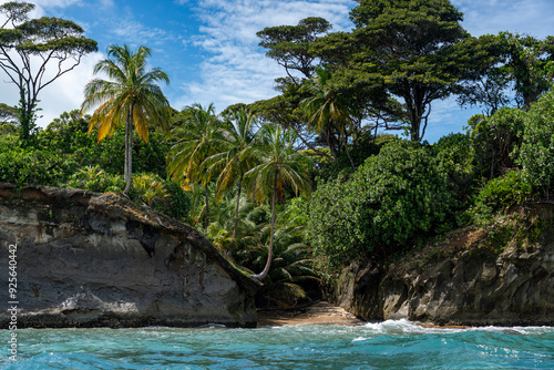 Tropical Beach Paradise with Palm Trees and Rocky Coastline in the caribbean Islands, Featuring Stunning Ocean Views, Sandy Shores, and Lush Island Landscapes, Perfect for Travel and Vacation Getaways photo