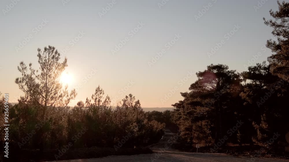 The sun sets over a peaceful forested landscape, casting a warm glow and creating long shadows, offering a serene and tranquil scene. The sun sets over a peaceful forested landscape, casting a warm glow and creating long shadows, offering a serene and tranquil scene.