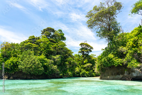 Tropical Beach Paradise with Clear Water, Palm Trees, and Blue Sky - A Serene, Unspoiled Island Destination Offering Eco-Tourism and Adventure Travel in a Beautiful, Scenic Caribbean Setting