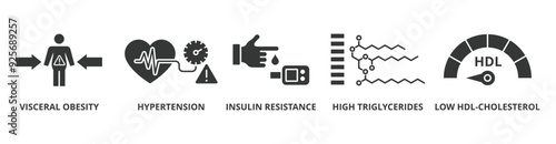 Symptoms of Metabolic Syndrome banner web icon vector illustration concept with an icon of Hypertension, Insulin Resistance, High Triglycerides, Low HDL-Cholesterol, Visceral Obesity