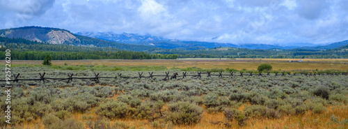 Grizzly Bear jumping over the wooden fences at Elk Ranch Flats Turnout on U.S. Route 191 in Grand Teton National Park, Moran, Wyoming, USA