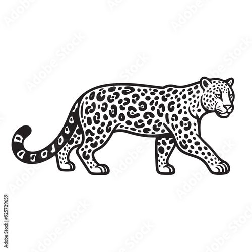 leopard vector illustration