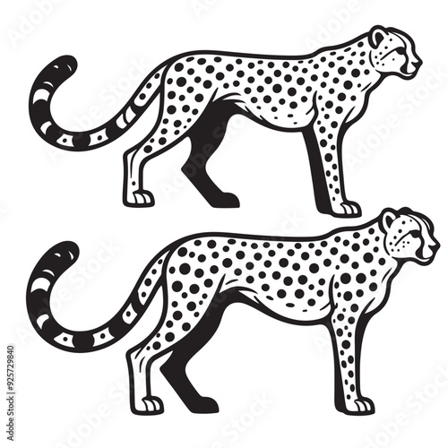 illustration of a leopard