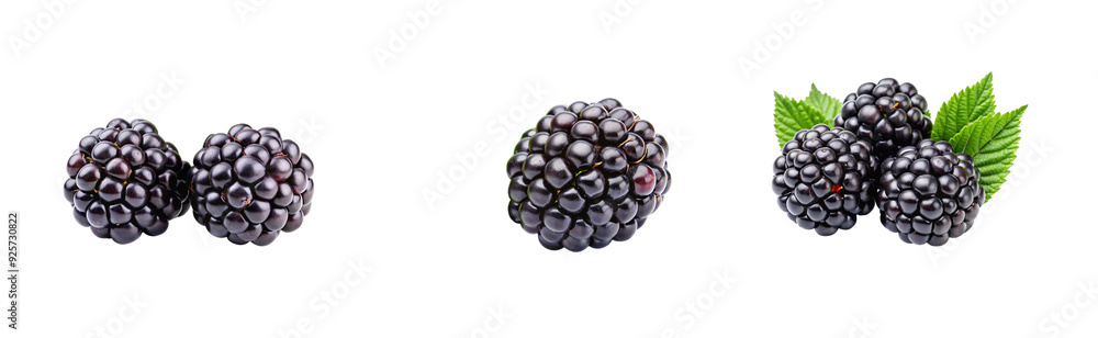 Fresh Grapes Image on Transparent Background, Isolated Grapes PNG Image. Fresh Grapes Image on Transparent Background, Isolated Grapes PNG Image.