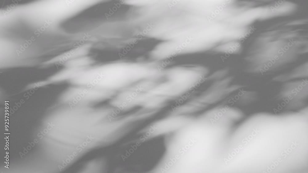 interior wall studio of moving leaves, sunlight, natural shadows overlaid on a white background.Summer concept interior wall studio of moving leaves, sunlight, natural shadows overlaid on a white background.Summer concept