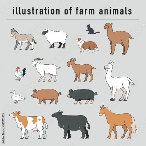 牧場の動物の手描きイラストセット