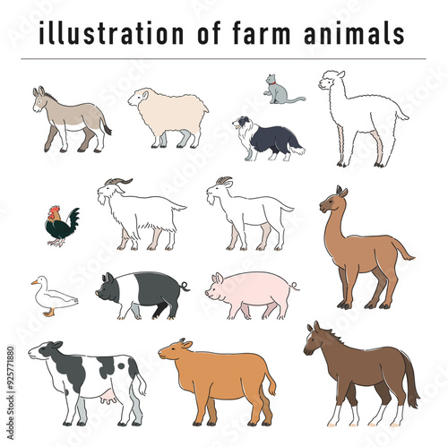 牧場の動物の手描きイラストセット