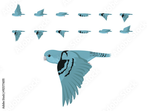 Parakeet Barred Lineolated Parrot Flying Animation Sequence Cartoon Vector