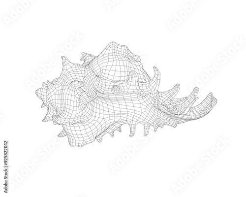 Wireframe spiral conch sea shell, sketch style vector illustration isolated on white background. Contour drawing of saltwater conch, sea snail shell. 3D