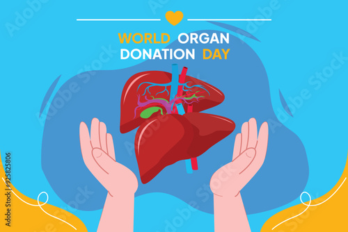World organ donation day concept. Colored flat vector illustration isolated.
