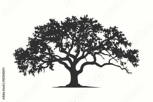 Hackberry silhouette vector illustration