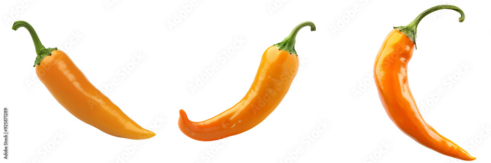 Detailed close-up of a ripe orange chili pepper tip, isolated on a white background for clipping Detailed close-up of a ripe orange chili pepper tip, isolated on a white background for clipping